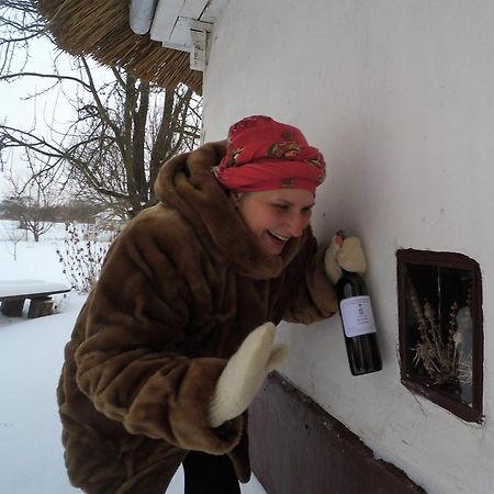 Koryakivskyi Rai Guest House Dmitrenki Luaran gambar