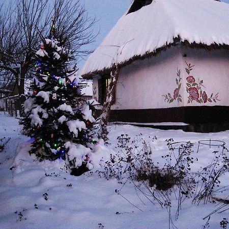 Koryakivskyi Rai Guest House Dmitrenki Luaran gambar