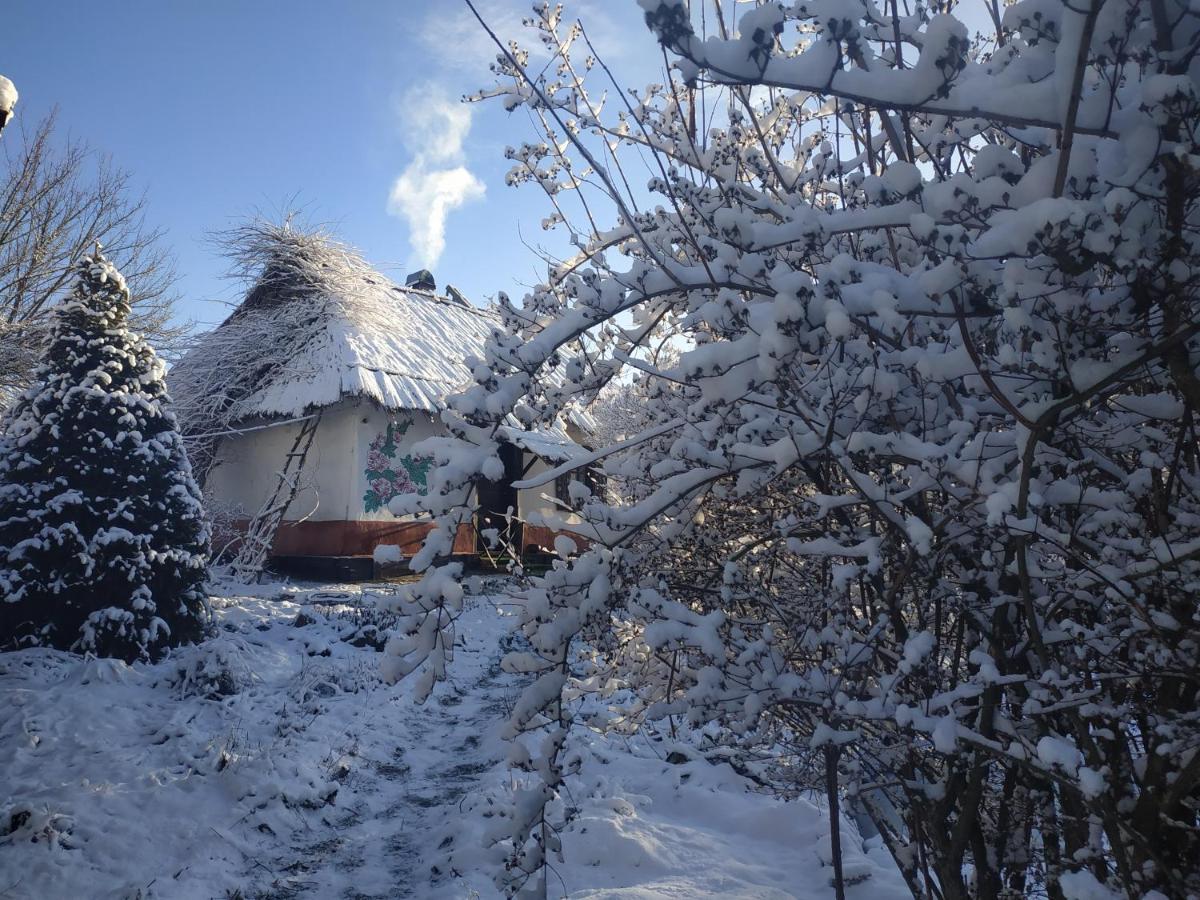 Koryakivskyi Rai Guest House Dmitrenki Luaran gambar