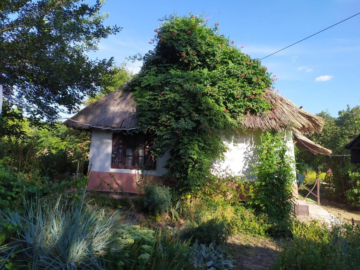 Koryakivskyi Rai Guest House Dmitrenki Luaran gambar