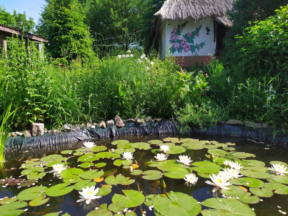 Koryakivskyi Rai Guest House Dmitrenki Luaran gambar