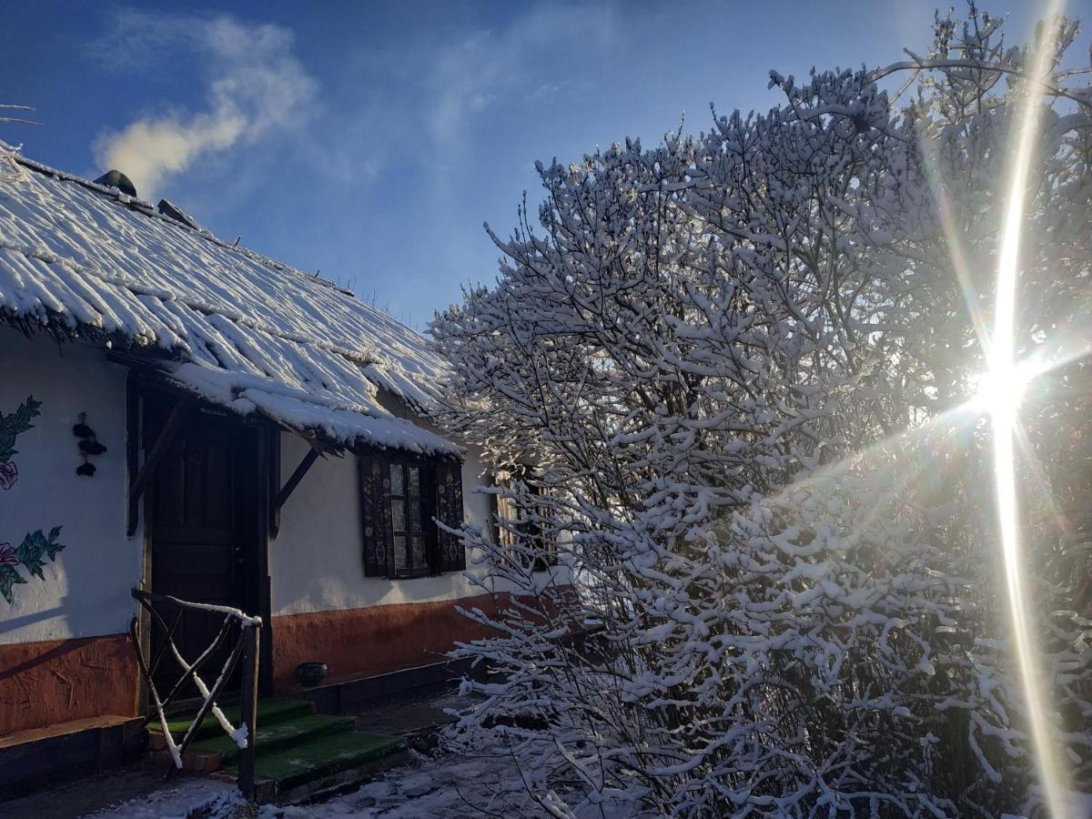 Koryakivskyi Rai Guest House Dmitrenki Luaran gambar