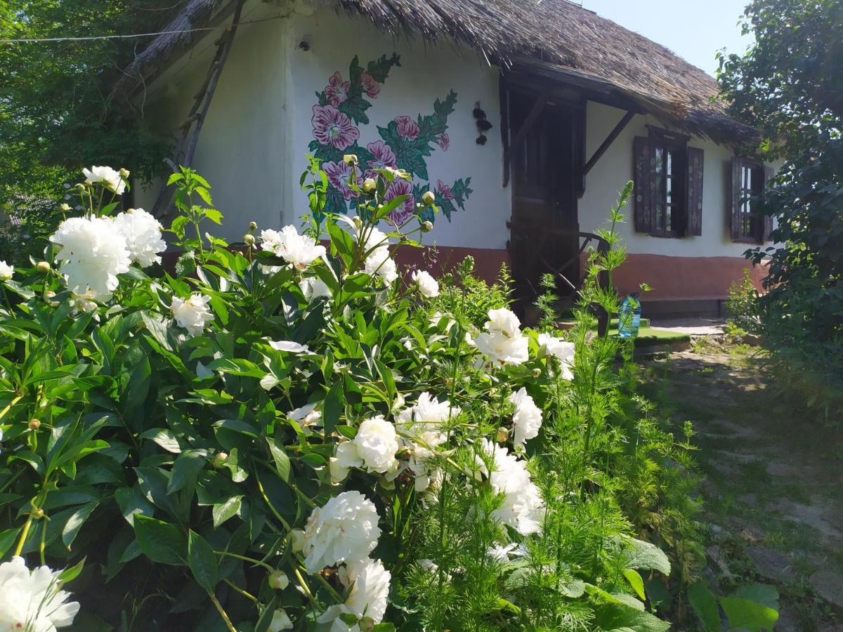 Koryakivskyi Rai Guest House Dmitrenki Luaran gambar