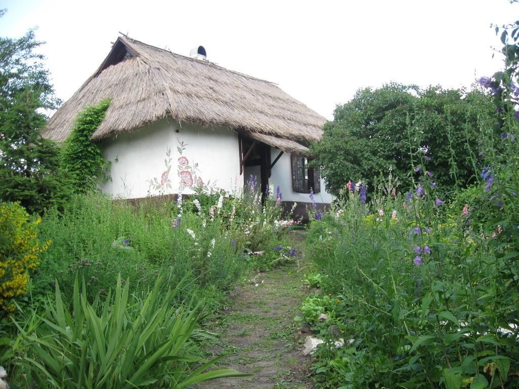 Koryakivskyi Rai Guest House Dmitrenki Luaran gambar