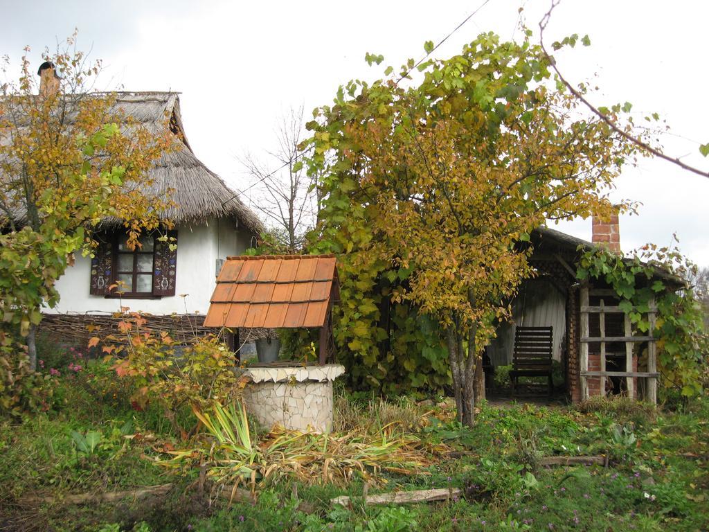 Koryakivskyi Rai Guest House Dmitrenki Luaran gambar