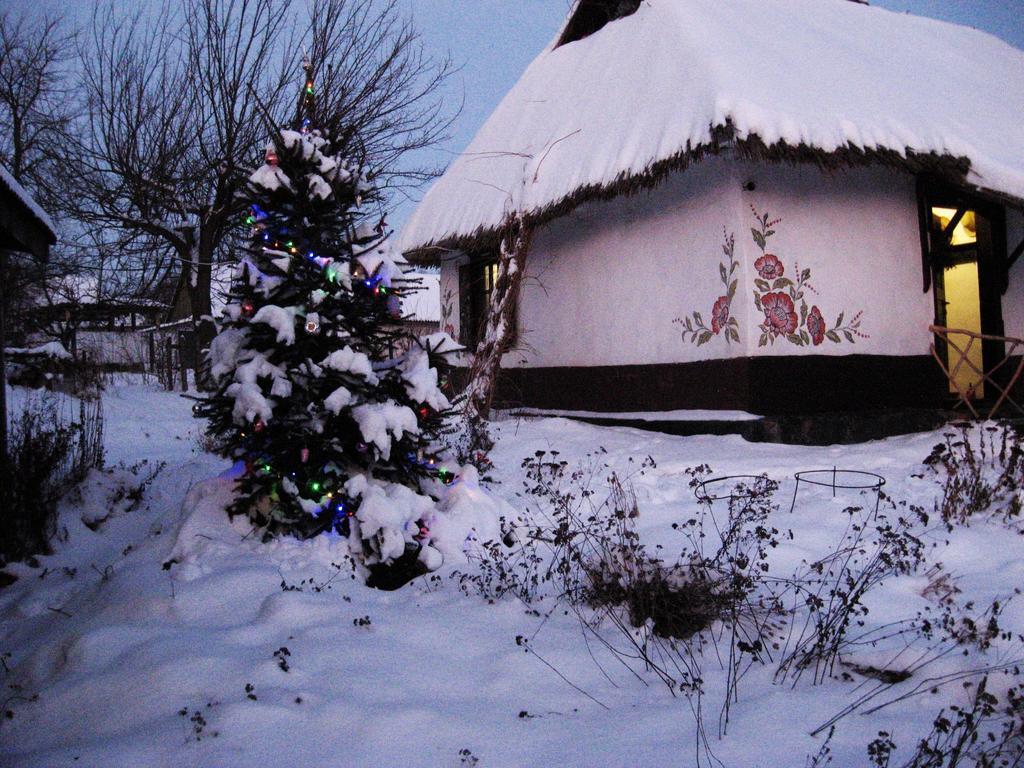 Koryakivskyi Rai Guest House Dmitrenki Luaran gambar