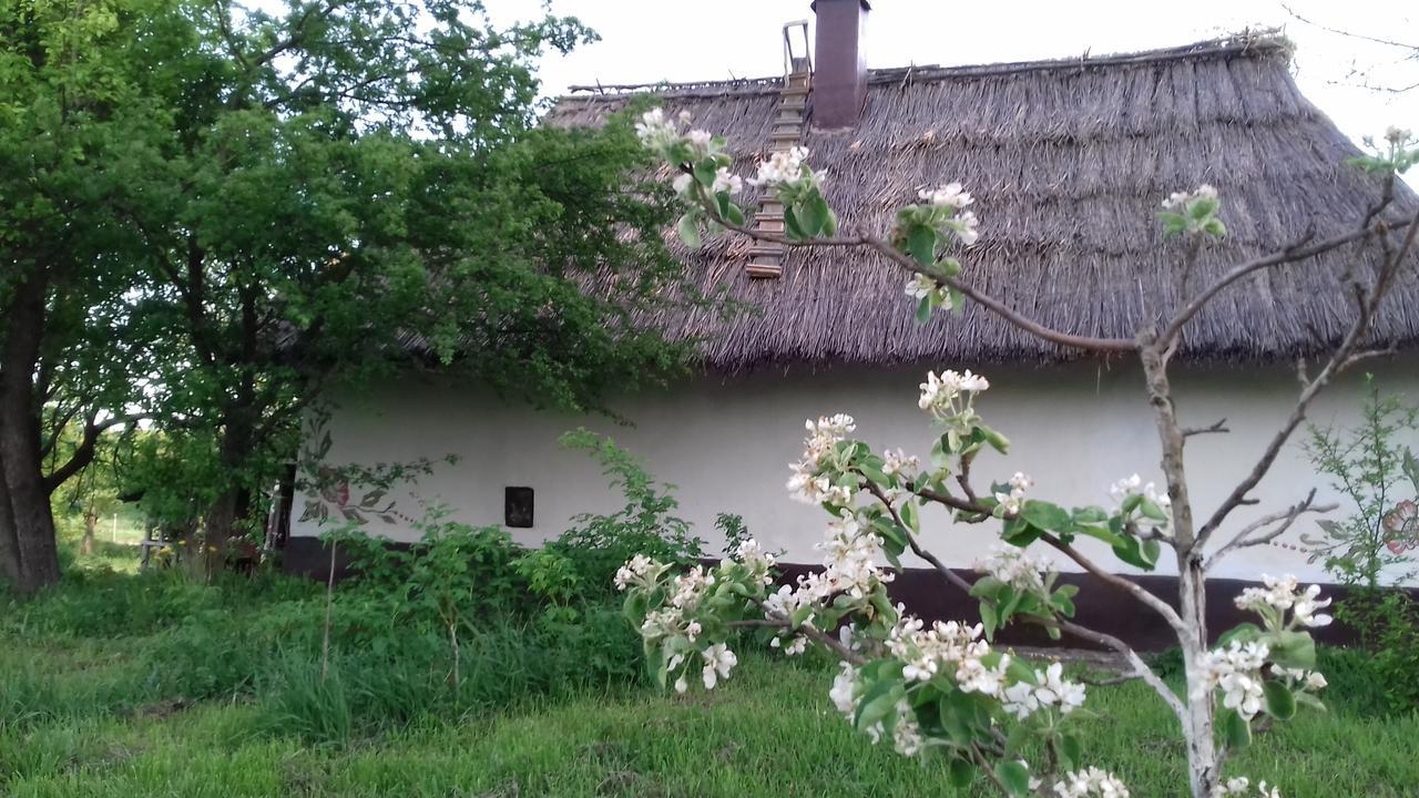 Koryakivskyi Rai Guest House Dmitrenki Luaran gambar