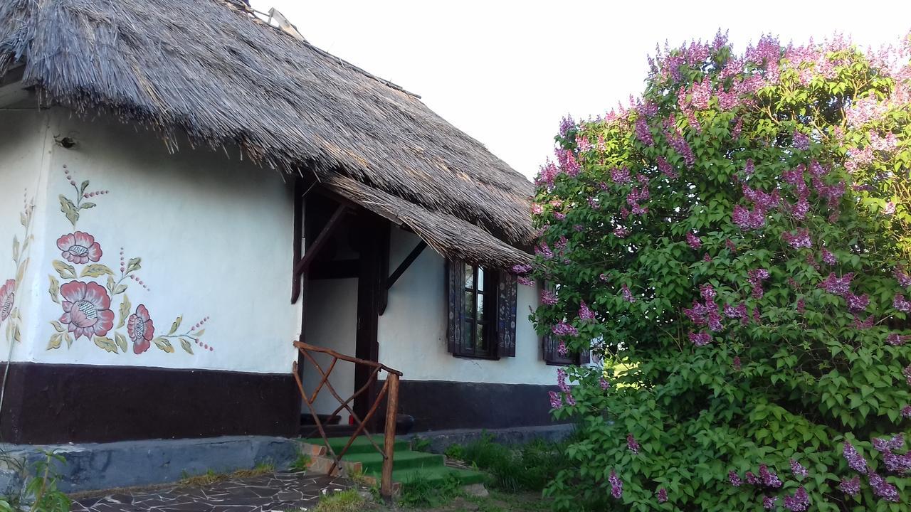 Koryakivskyi Rai Guest House Dmitrenki Luaran gambar
