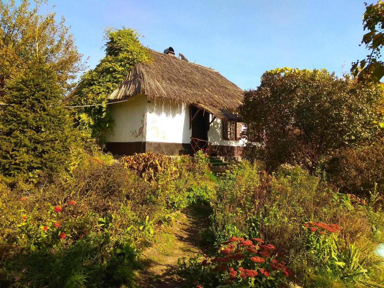 Koryakivskyi Rai Guest House Dmitrenki Luaran gambar