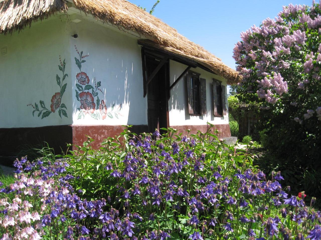Koryakivskyi Rai Guest House Dmitrenki Luaran gambar