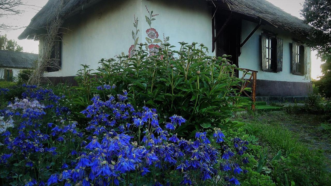 Koryakivskyi Rai Guest House Dmitrenki Luaran gambar