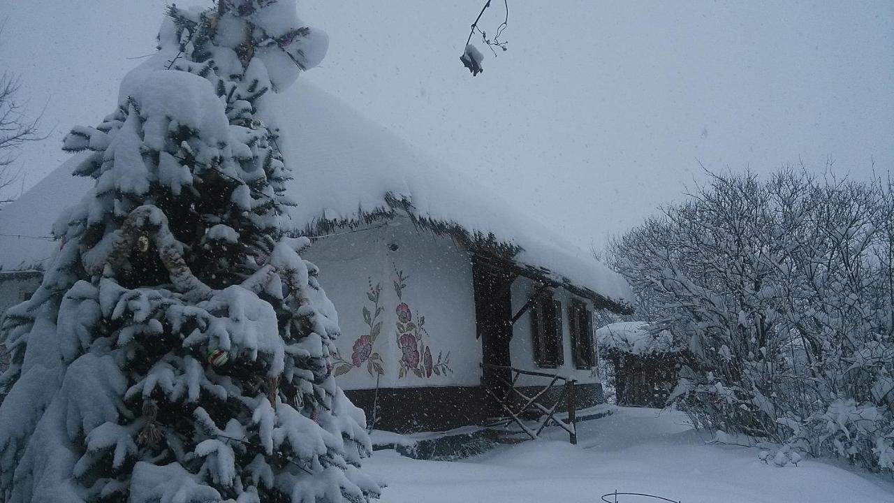 Koryakivskyi Rai Guest House Dmitrenki Luaran gambar